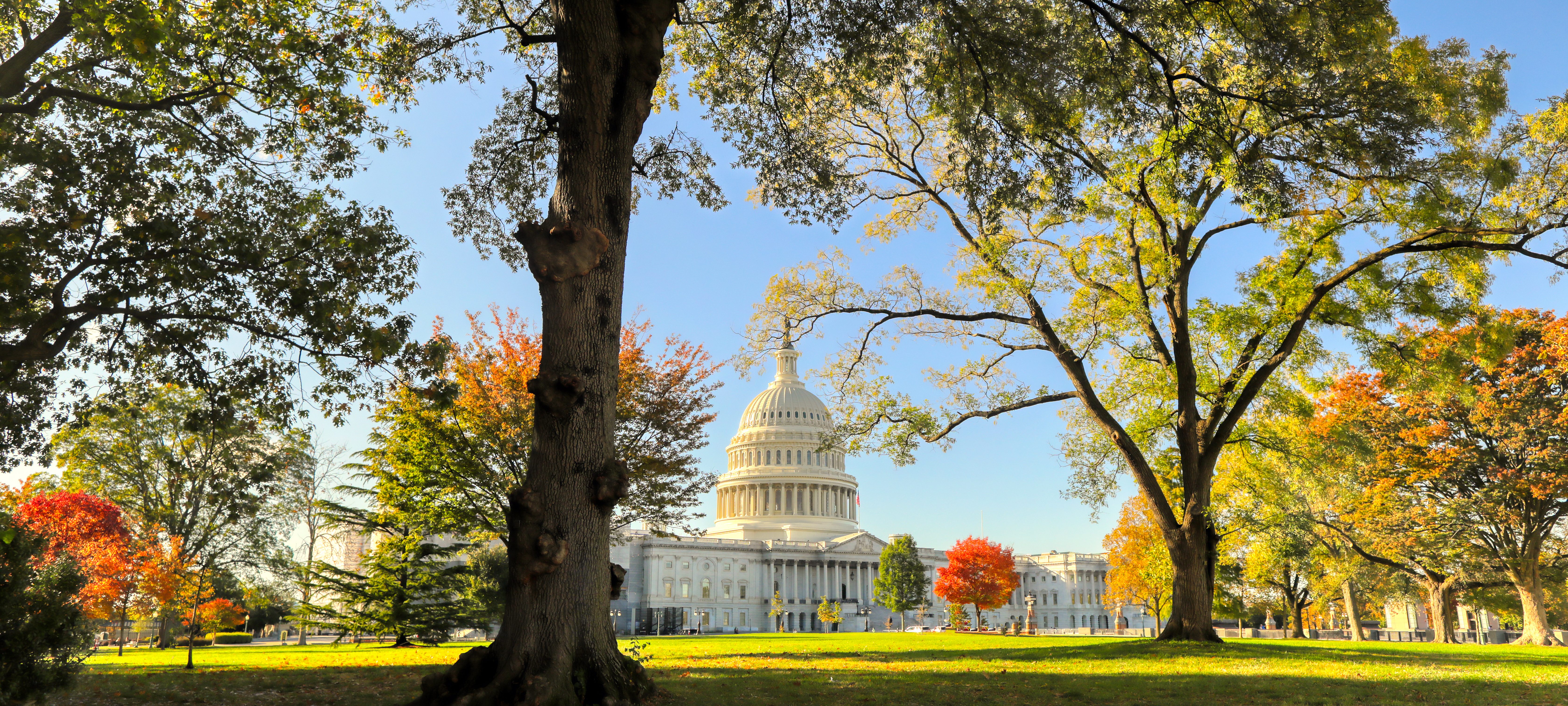 The Leviathan's Edge: Why America Still Monopolises the Future