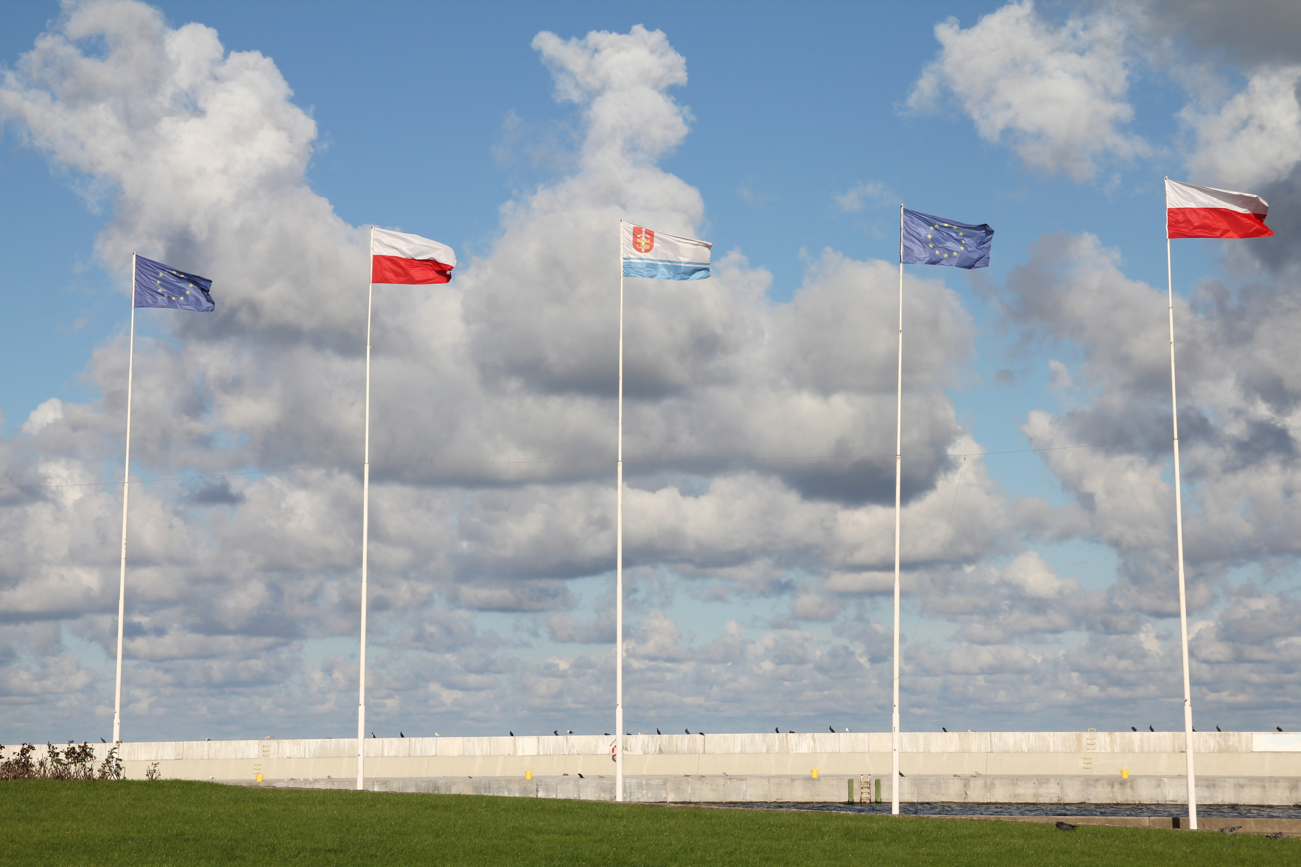 Flight of the Heavyweights: Europe’s Connectivity Trap
