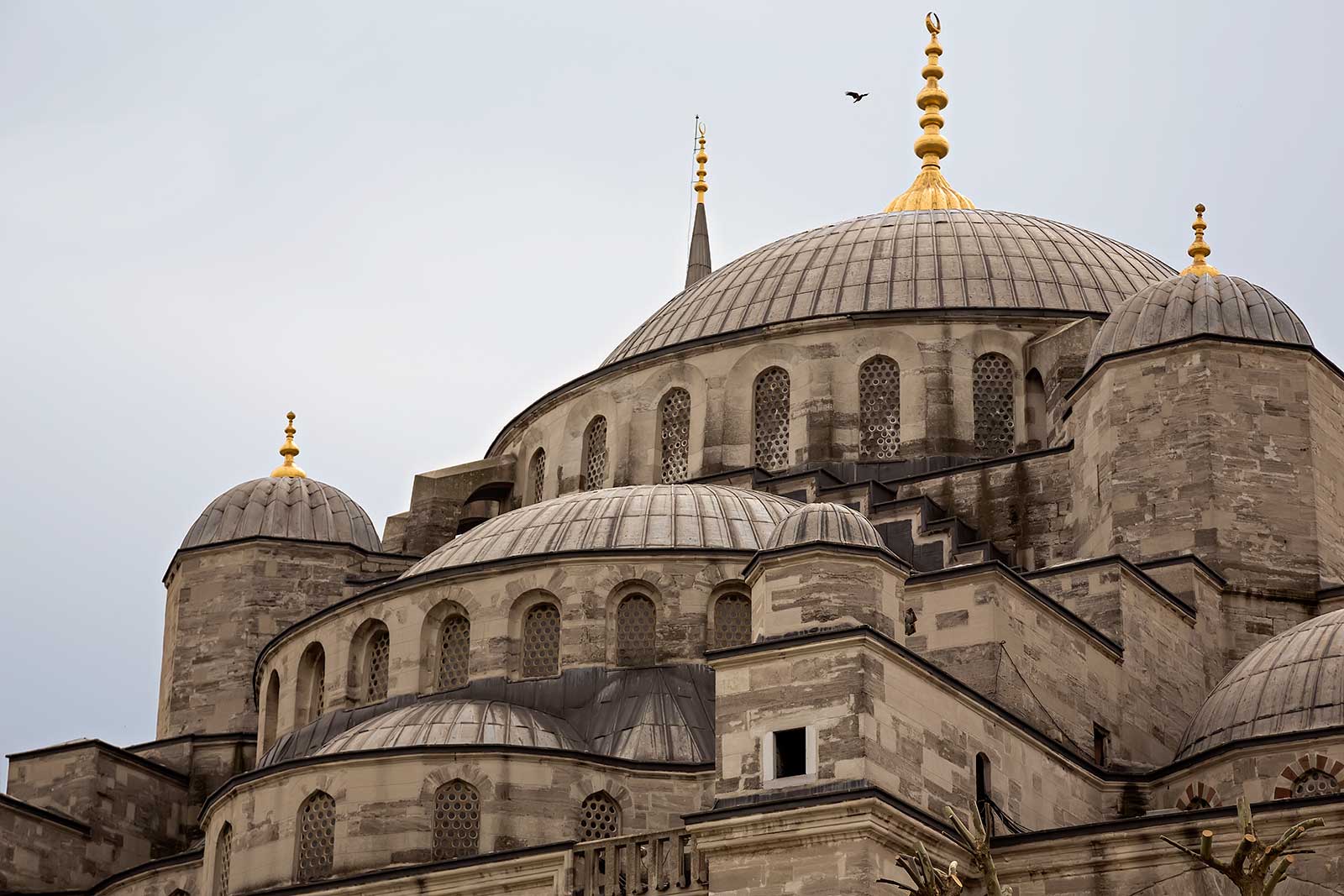 When the Ottoman Caliphate Saved Britain