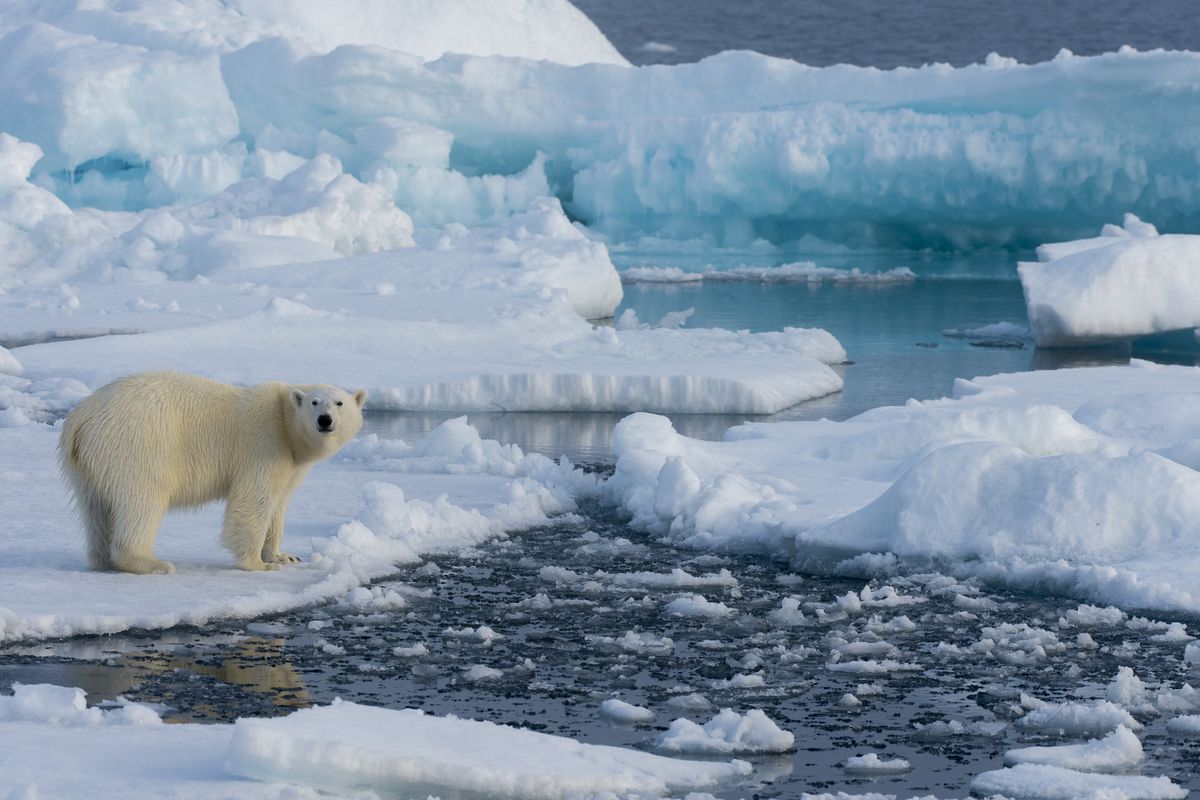 Will Putin become the Arctic Boss?