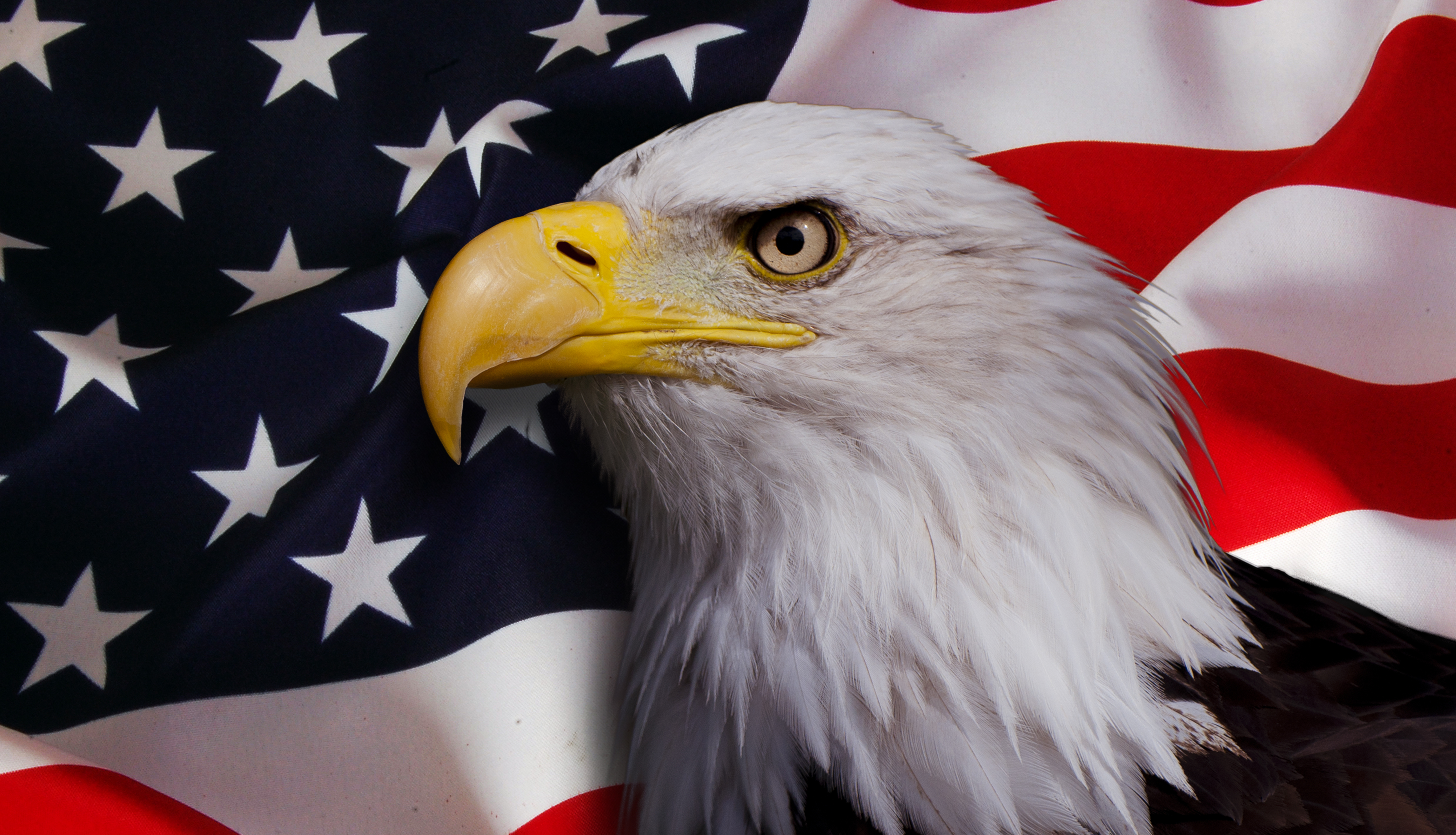 The Post-American Order