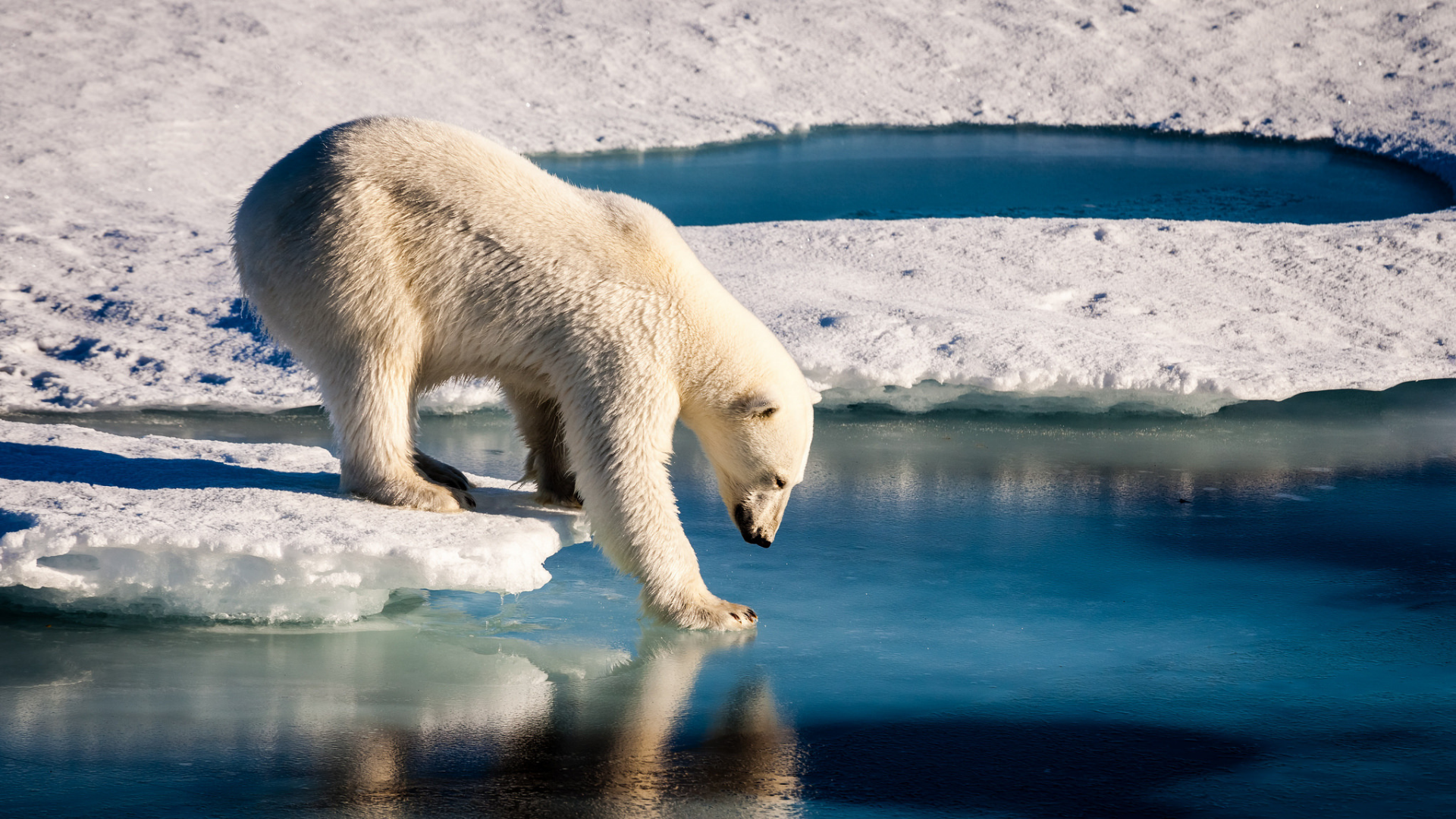 The Geostrategic implications of Climate Change