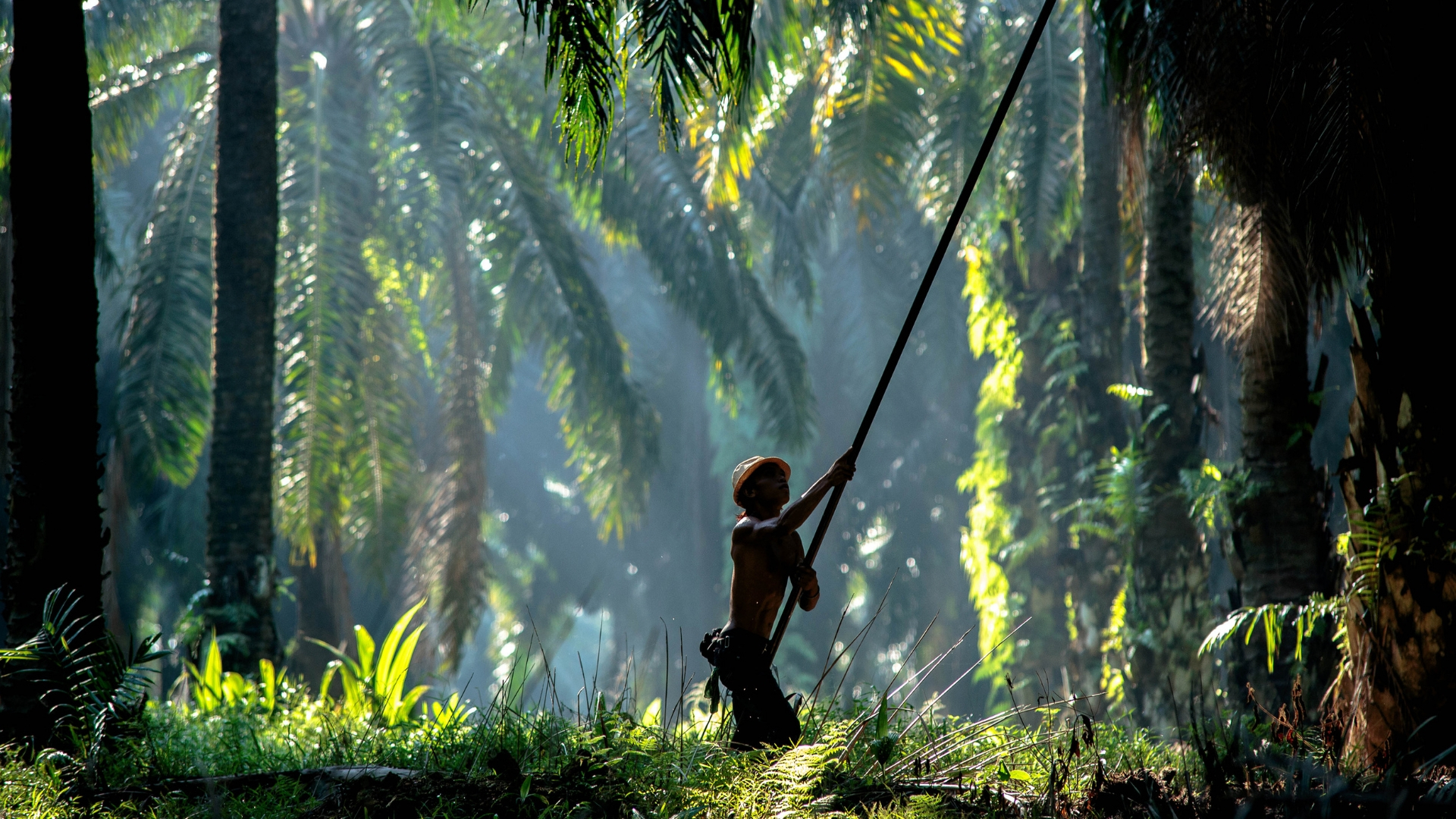 Indonesia’s Incoming Trade War: 5 Geopolitical Effects You Need to Know