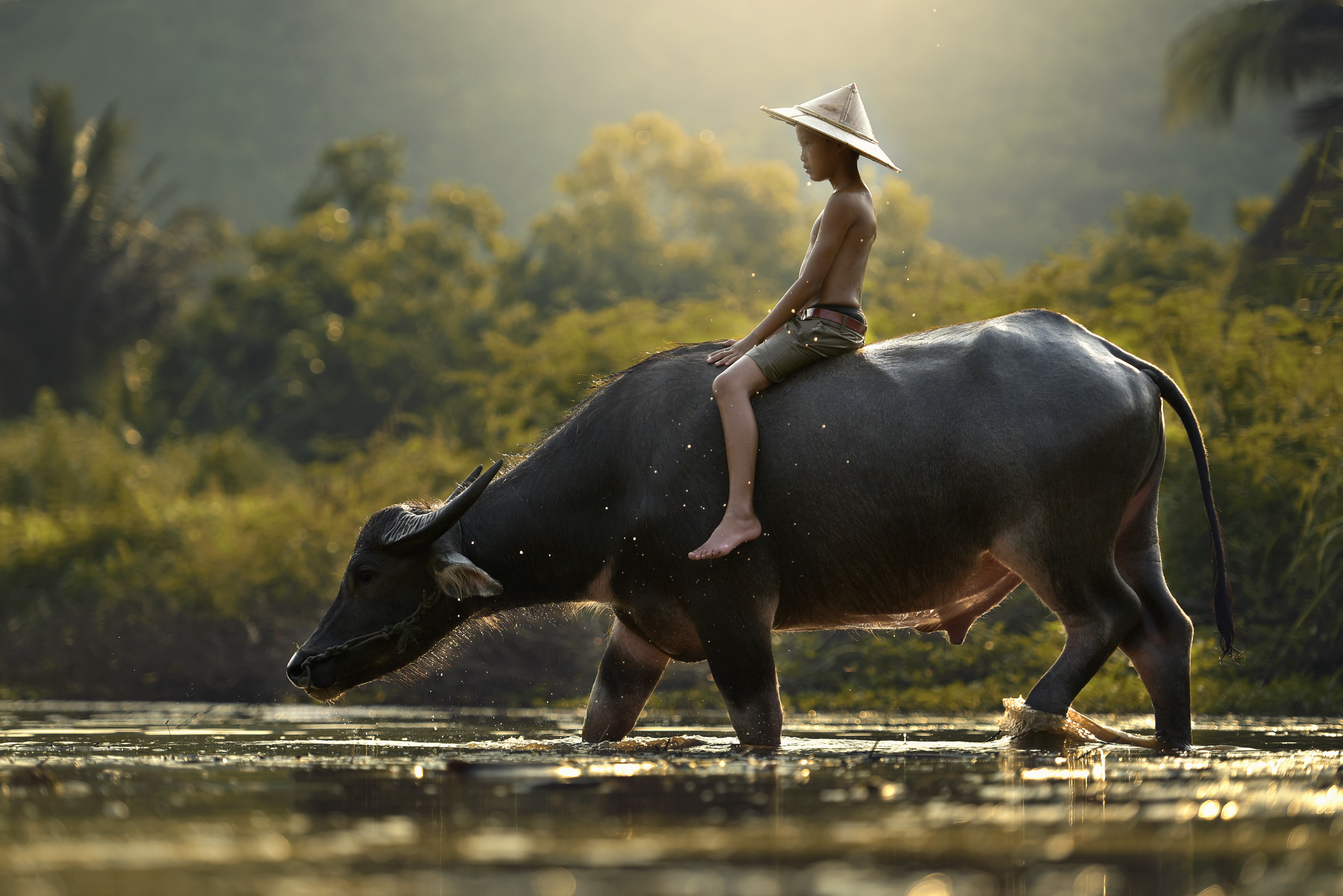 China’s Growing Control of Cambodia: 5 Geopolitical Effects You Need to Know