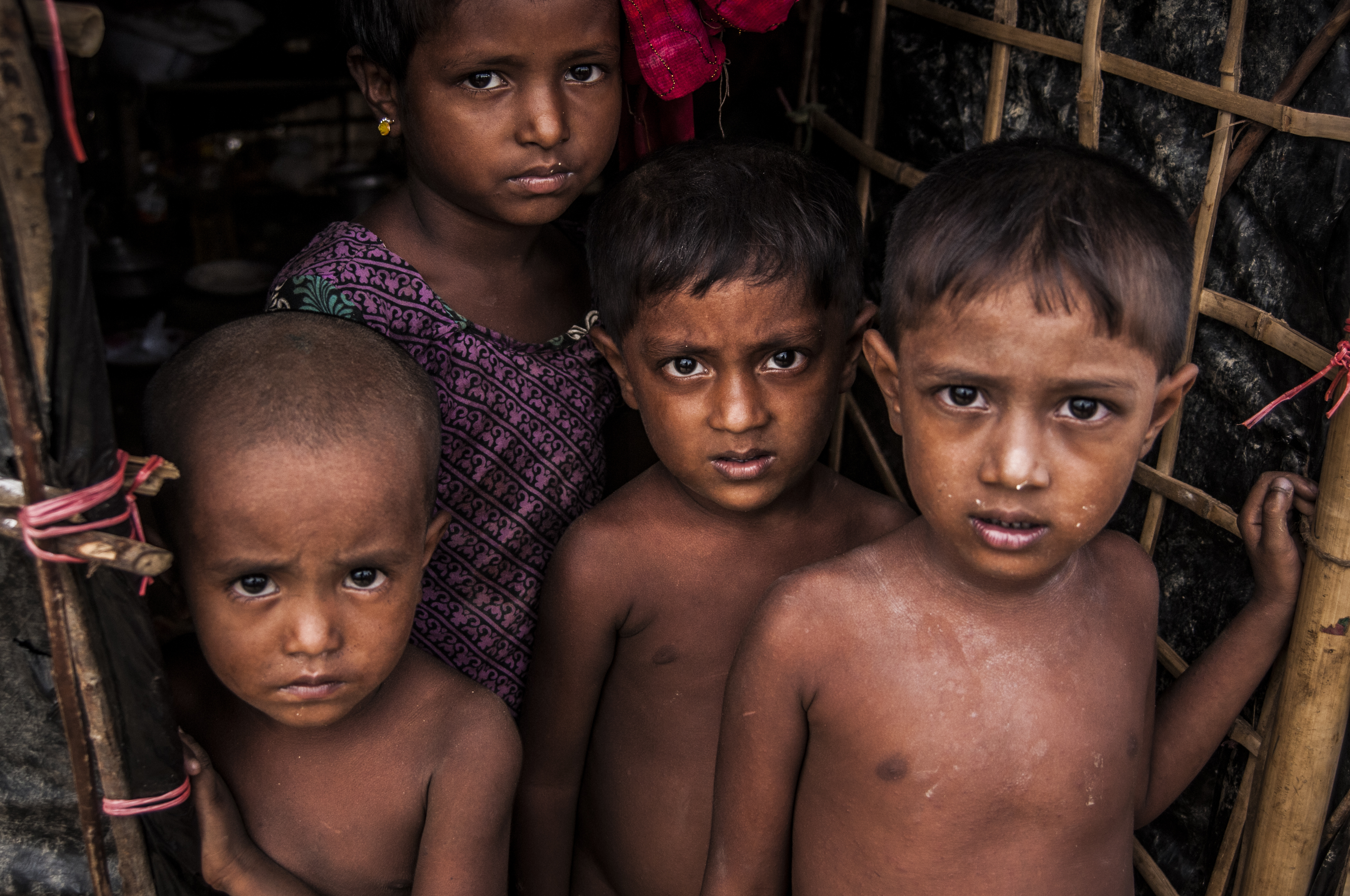 A bird’s eye view of Asia: A continental landscape of minorities in peril